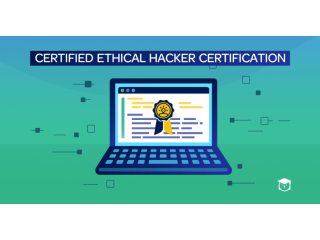 Top Cyber Security Training Institute in Surat | Best Ethical HackingCourse in Surat