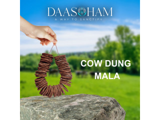 Cow dung Amazon