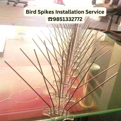 bird-spikes-installation-servcie-in-kathmandu-at-best-price-big-0