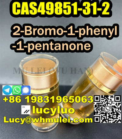 cas49851-31-2-2-bromo-1-phenylpentan-1-one-cas-49851-31-2-big-4