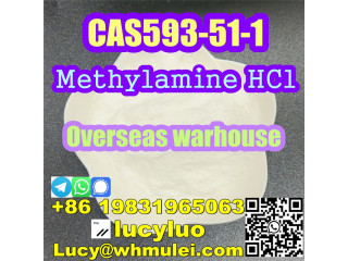 Free sampleMethylamine hydrochloride CAS 593-51-1