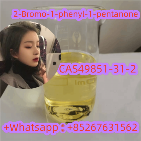 2-bromo-1-phenyl-1-pentanonecas49851-31-2-big-0