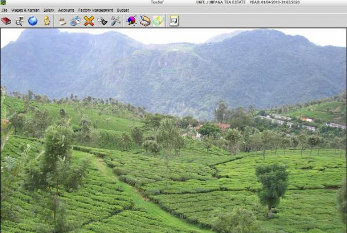 tea-garden-software-tea-garden-management-system-by-ebs-software-solutio-big-0