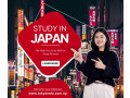 japanese-language-test-jlpt-preparation-with-tokyo-international-education-institute-small-0