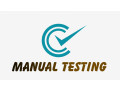 manual-testingonline-training-viswa-online-training-from-hyderabad-small-0