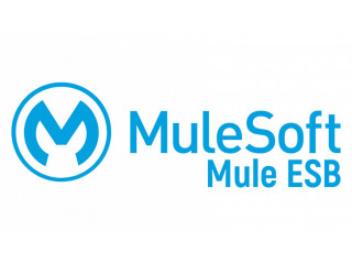 Mulesoft  Online Training in India, US, Canada,