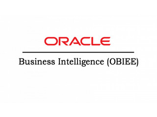 OBIEE Online Training Viswa Online Trainings Coaching Course In India