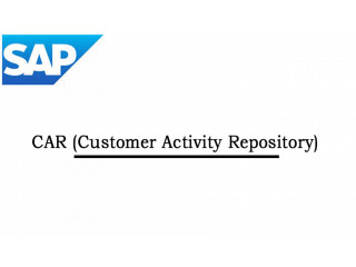 SAP CAR (Customer Activity Repository)Online Training Institute From India