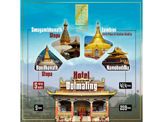 Experience Tranquility and Purpose at Hotel Dolmaling