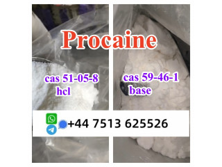 Cas 59-46-1 Procaine base powder Procaine Hcl safe ship to Holland Poland