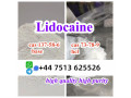 cas-137-58-6-lidocaine-base-cas-73-78-9-lidocaine-hcl-global-ship-small-2