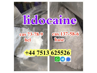 Cas 137-58-6 Lidocaine base cas 73-78-9 Lidocaine hcl global ship