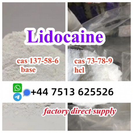 cas-137-58-6-lidocaine-base-cas-73-78-9-lidocaine-hcl-global-ship-big-3