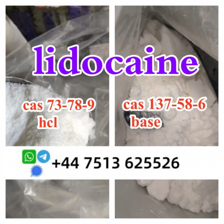 cas-137-58-6-lidocaine-base-cas-73-78-9-lidocaine-hcl-global-ship-big-4