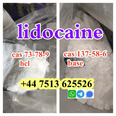 cas-137-58-6-lidocaine-base-cas-73-78-9-lidocaine-hcl-global-ship-big-0