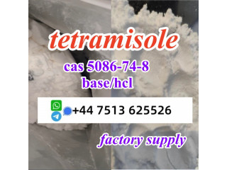 Cas 5086-74-8 tetramisole hcl base powder door to door ship worldwide