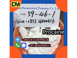 Direct Sales from China Factory CAS 59-46-1 Procaine