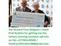 spiritually-empowered-lottery-spells-to-win-the-mega-millions-call-27785149508-small-0