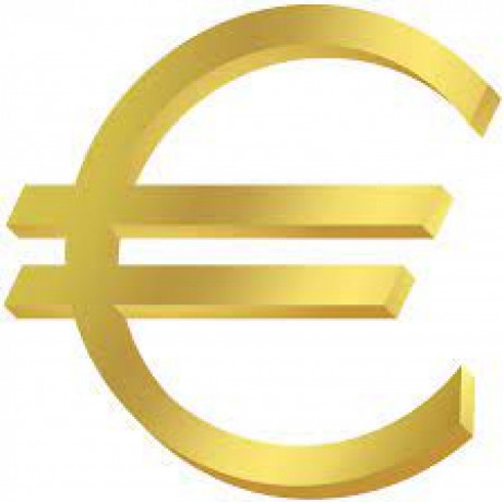 do-you-need-a-loan-in-dollars-or-euro-big-0