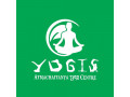 yogis-atmachaitanya-yog-center-small-0
